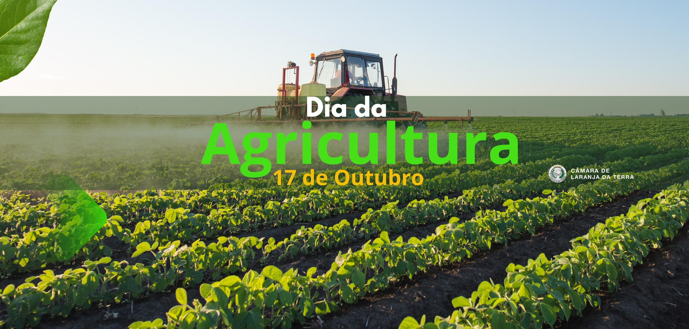 Dia da Agricultura - 17 de Outubro