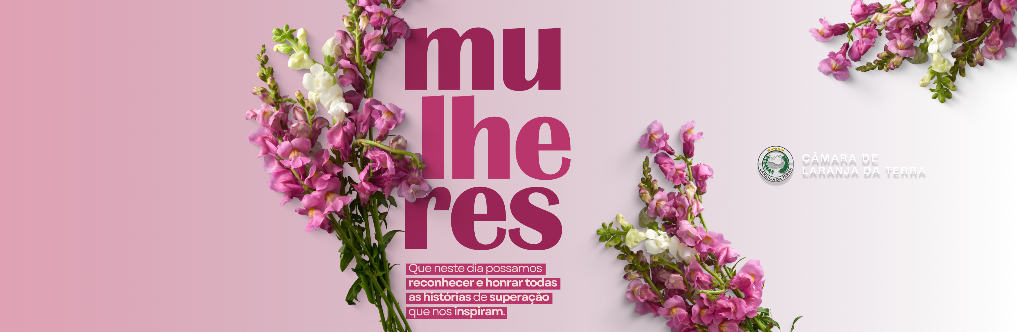 Dia das Mulheres - 08 de Março